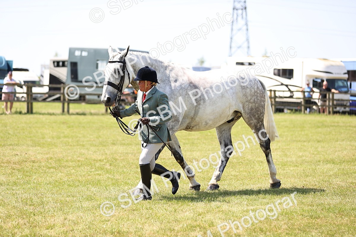 SBM_16180 - Class 79-80 - LIHS BSHA Rising Star Ridden Hunter