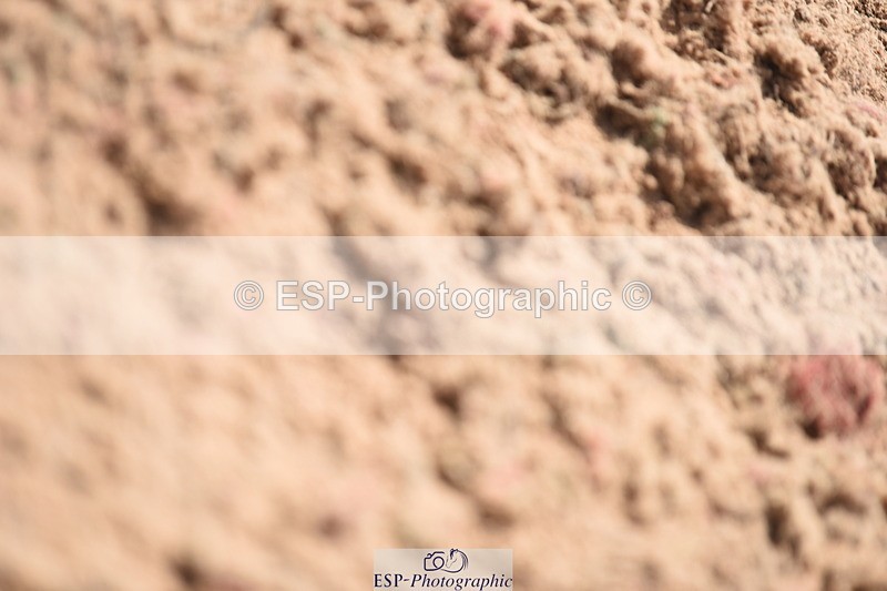 230902A-132830-01401 - Cls 10 National 1.15m