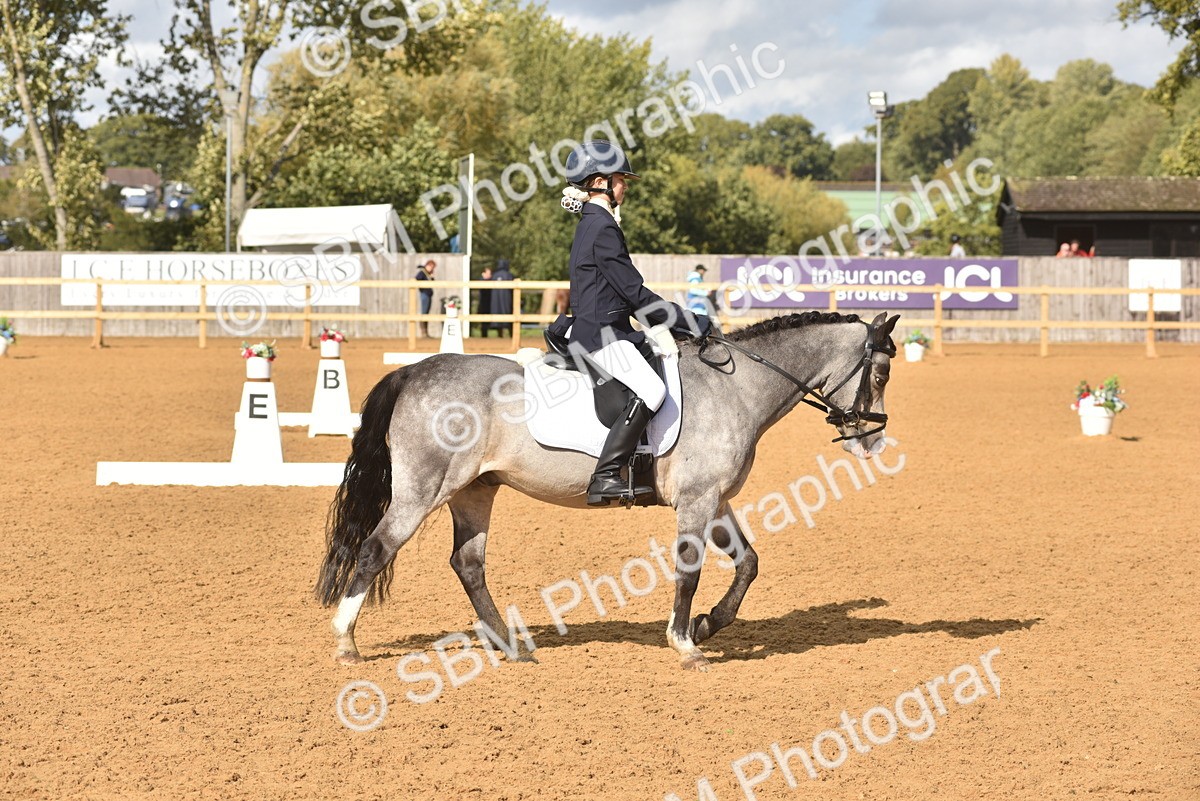 SBM_48816 - D22 - Junior Championship Intro 3