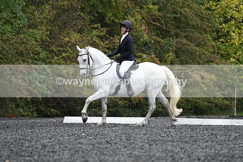 WJ7_4228 - Time 11:43 to 12:09