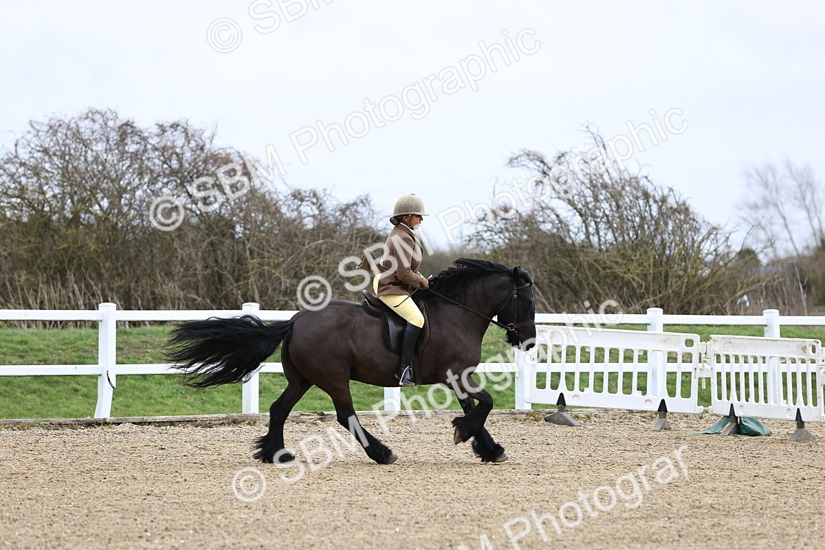 SBM_006987 - Class 29 - 30 - M&M Pure Novice Small-Large Breeds