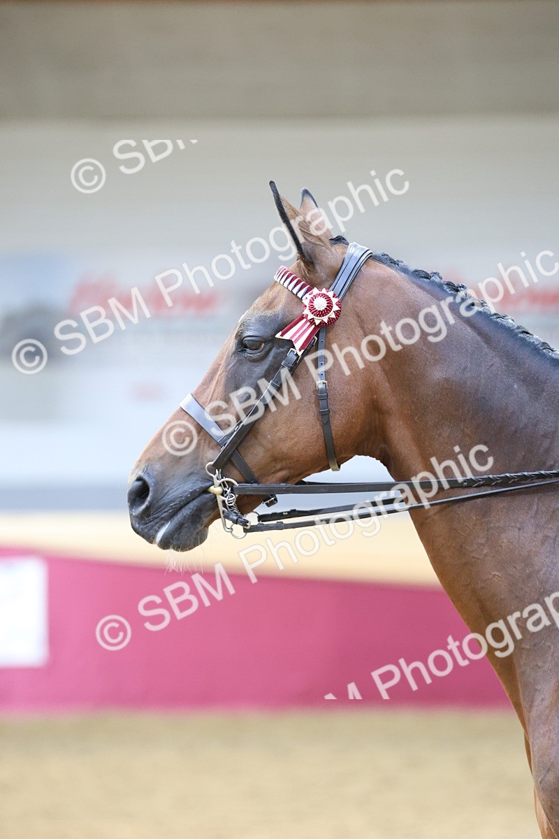 SBM_23630 - class 906 - Supreme Final - Ridden Pre Vet