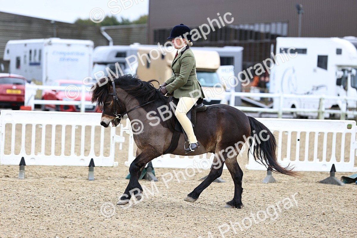 SBM_006808 - Class 29 - 30 - M&M Pure Novice Small-Large Breeds
