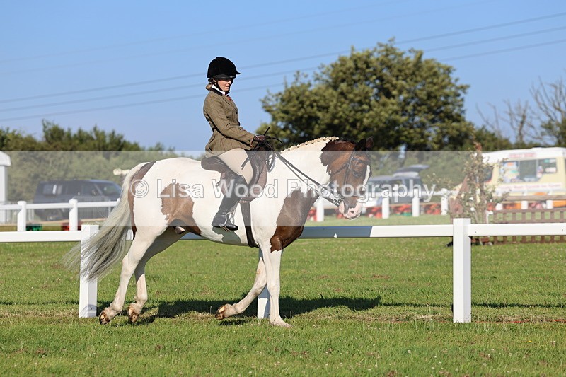 IMG_1226 - Class 27: Ridden Plaited Coloured Horse