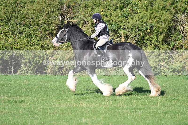 WJ7_7390 - Time 09:07 to 09:17