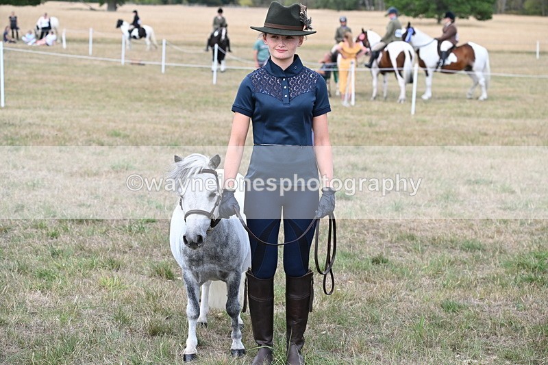 WJ6_7090 - Class 21 Shetland & Mini Horses