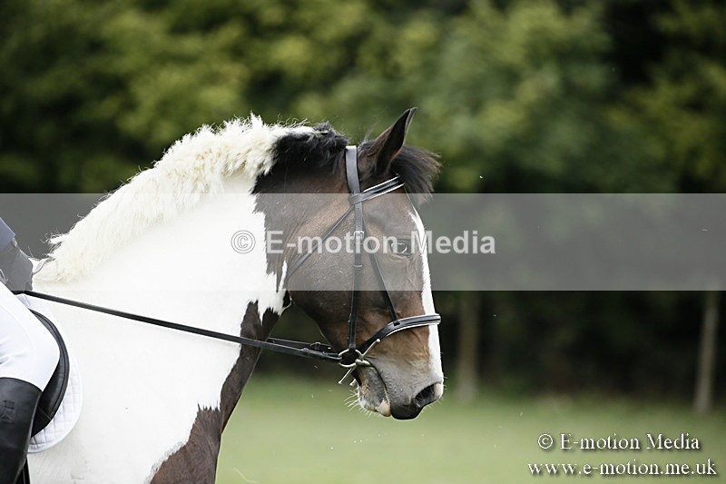 BVR080918 69 - BVRC Novice Dressage & CR 08/09/18