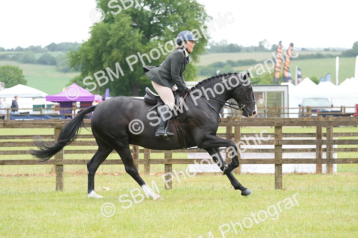 SBM_12717 - Class 97-98 - LIHS BSHA Rising Star Working Show Horse Hunter