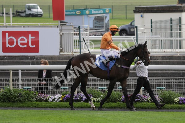 yr11062021r7-1 - Race 7 5.05pm SASH Charity Stakes