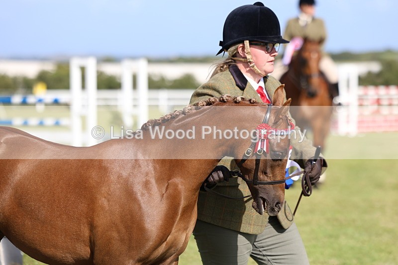 3E7A3893 - Supreme Championship