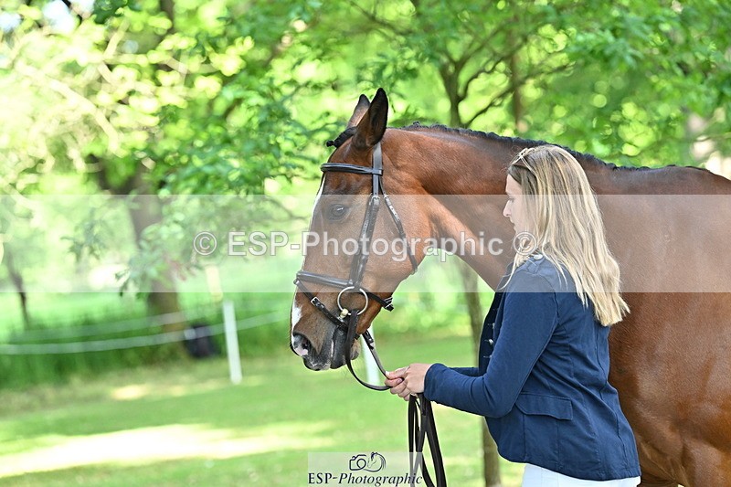 250521A-155434-00834 - B-378-Molly.Brown-KILRUSH.RED