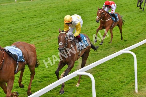 170623-Race 1-Kihavah-6912 - Race 1 2.00pm Queen Mother's Cup Handicap