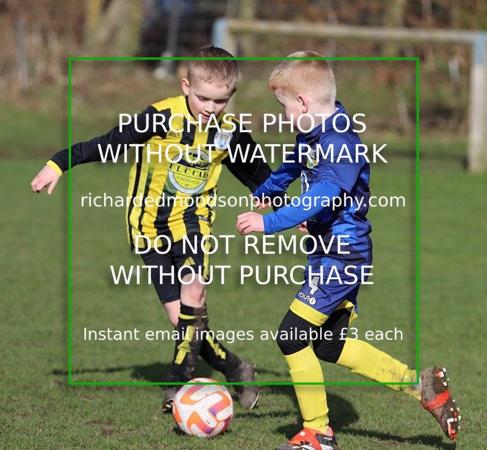 IMG_8655 - Kendal United U8 vs Trimpell U8 (25/2/24)