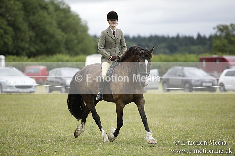 BVR160717-1320 - Ring 1 BVRC Show 16/07/17