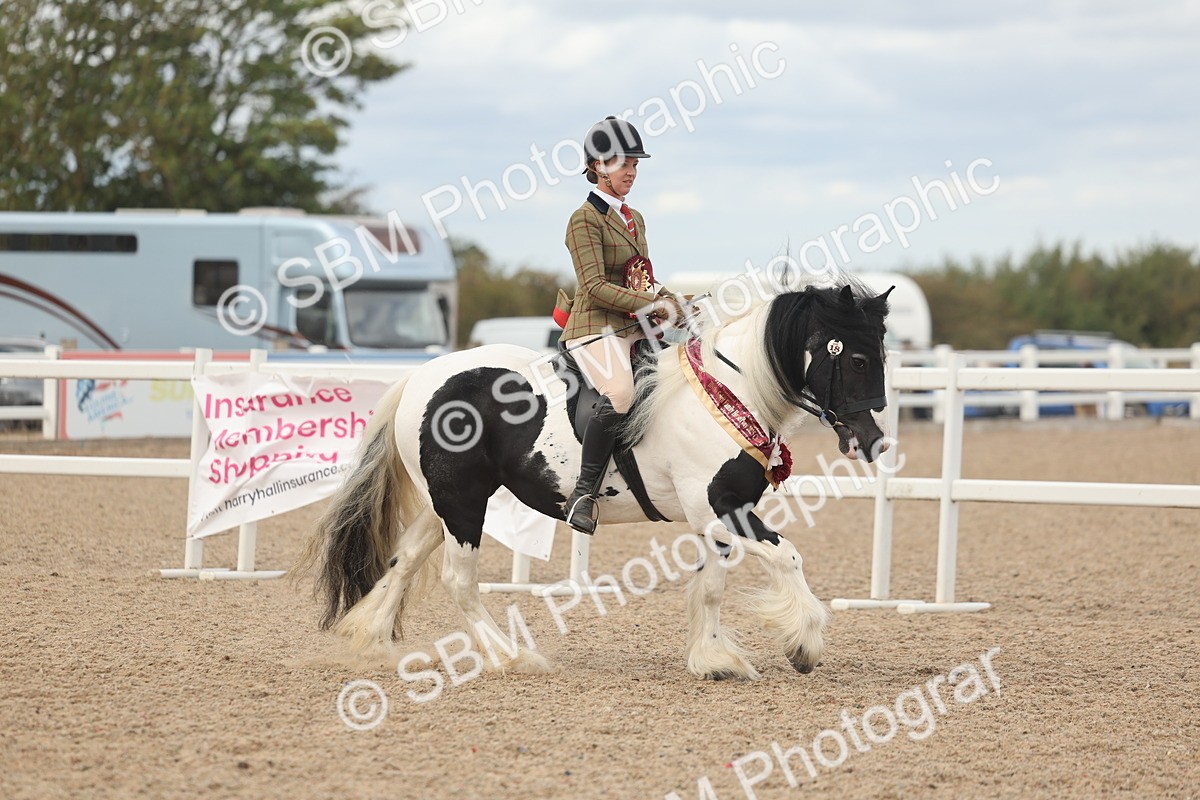 SBM_18089 - Class 314 - Family Horse Pony