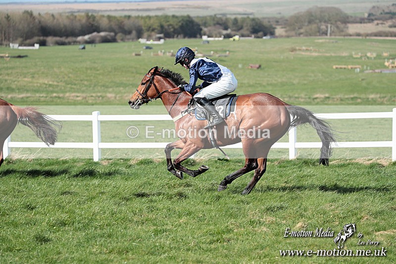 PtP 230324 616 - Tedworth Hunt PtP Larkhill Raccourse 23rd March 2024