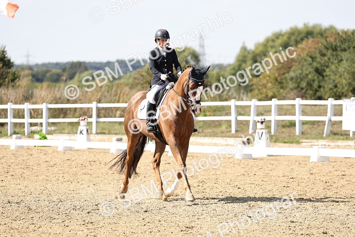 SBM_014920 - Class 7 - Medium 3