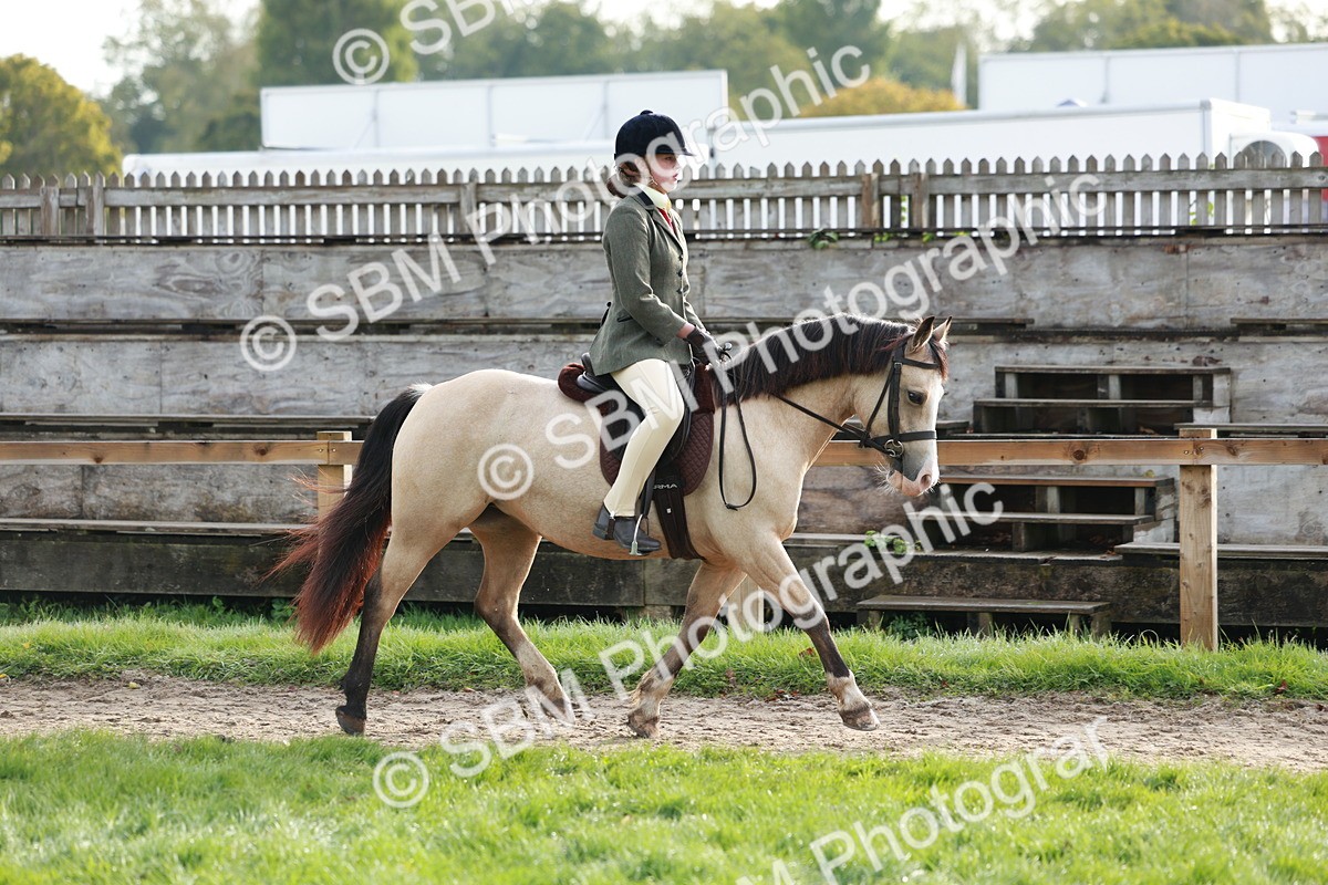 SBM_56336 - S39 - Starters In Hand Showing