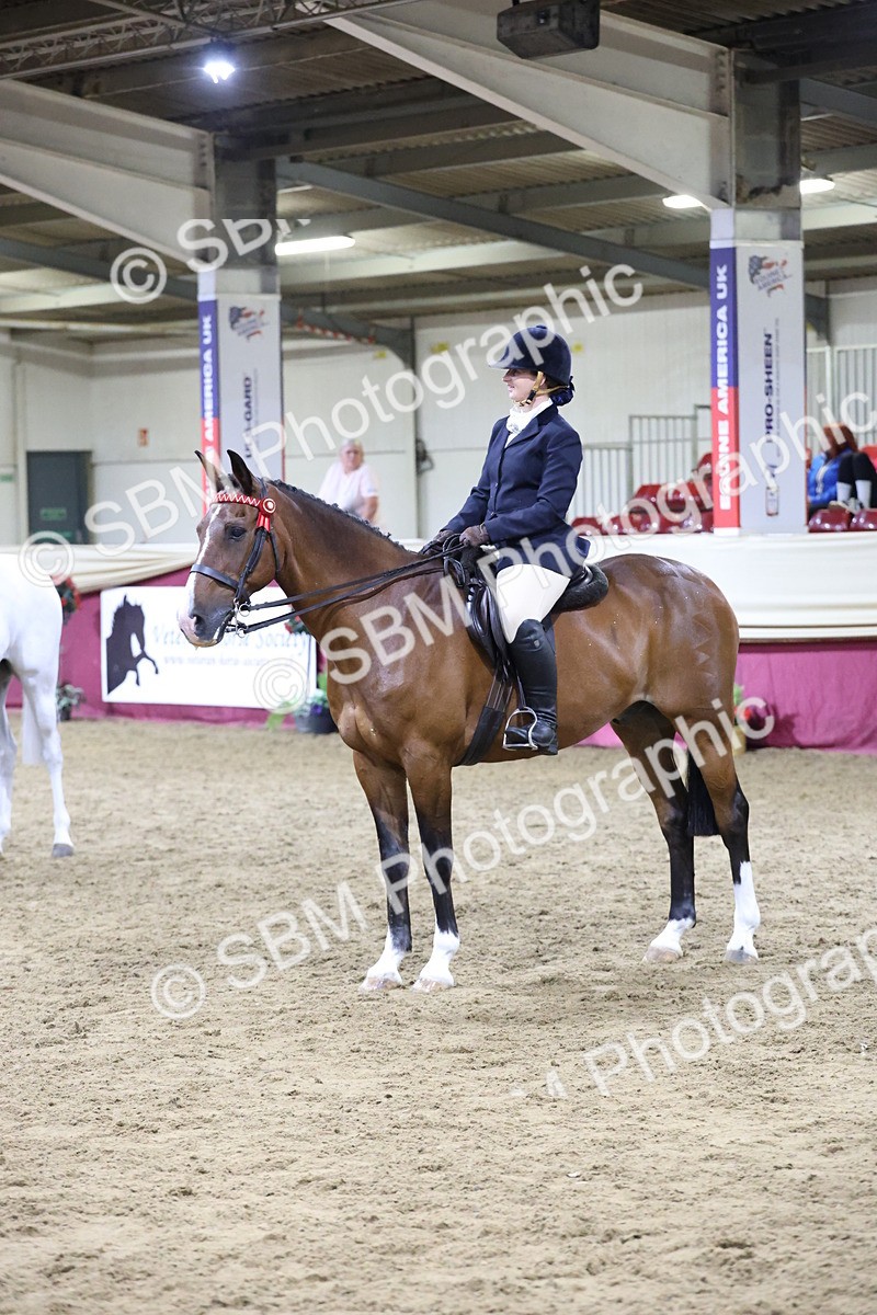 SBM_21191 - class Q - Ridden Horse Champ