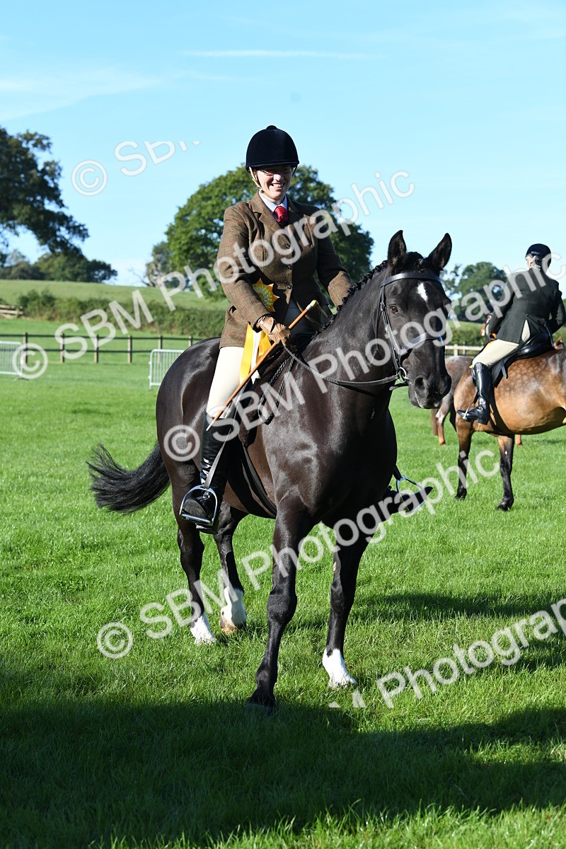 SBM_34110 - S16 - Condition & Turnout - Ridden