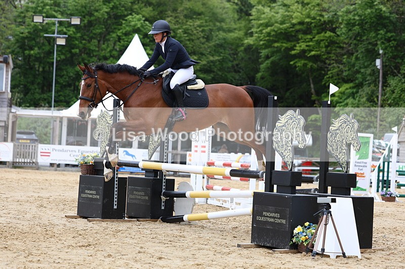 3E7A6177 - Class 4: Senior British Novice/90cm open