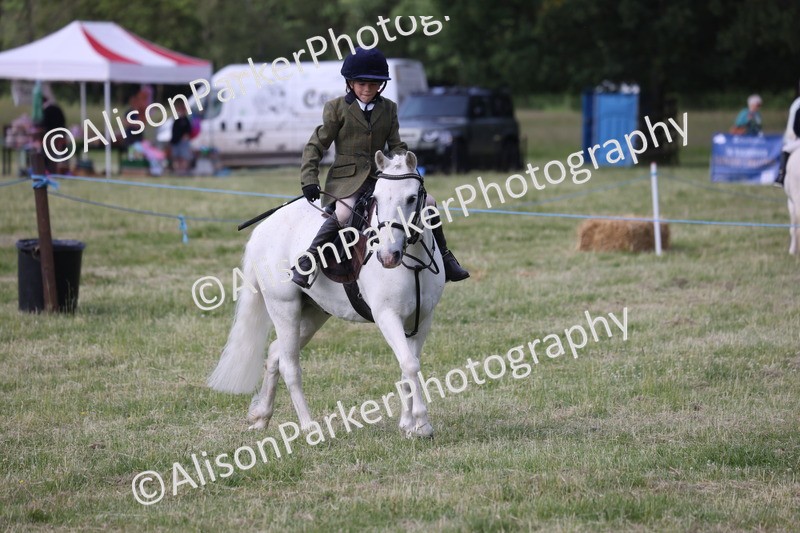 20260614-0661 - Class 20 - Beginners Working Hunter Pony