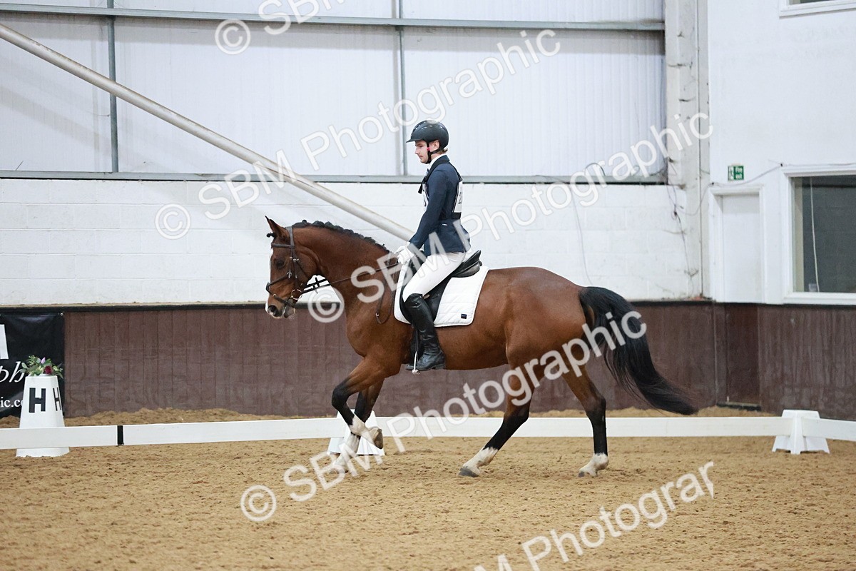 SBM_004679 - Ring 3 - International -  Working Hunter Classes 23-2-25