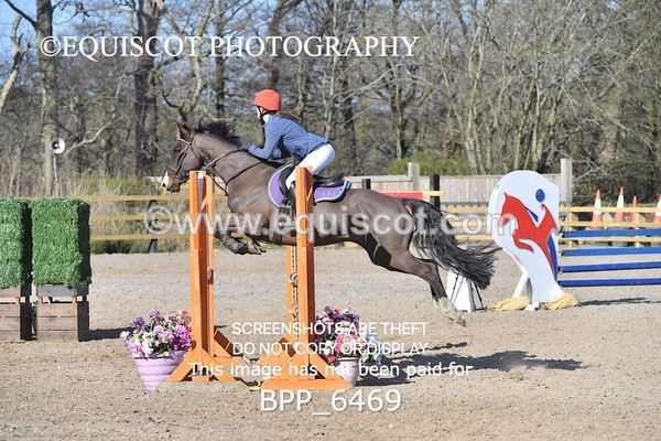 BPP_6469 - CLASS 10 SUN Newcomers/ 1m Open