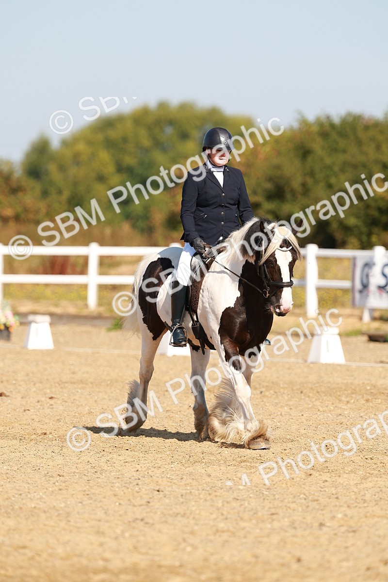 SBM_016731 - Class 9 - N5 Bronze 9.30.10.19
