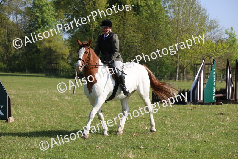 20250427-0574 - Class 17 - Novice Showing