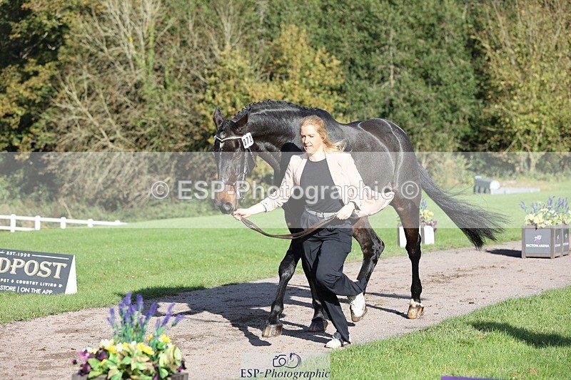 241027-095310-15559 - 372-Michelle.Newnham-LOUIS.HS