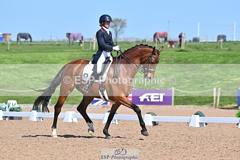 250405-130033-10812 - 028-Elizabeth.Allen-Heraldik