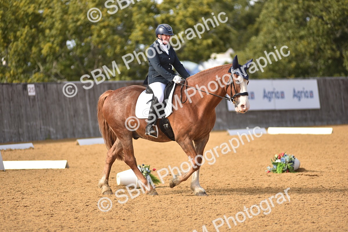 SBM_24380 - D4 - Small Tour Championship Intro 4