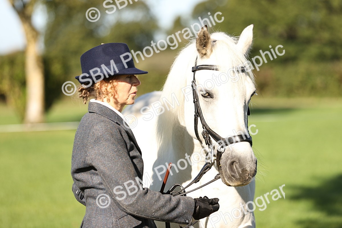 SBM_15885 - S1 - TSR in Hand Horse & Pony Showing