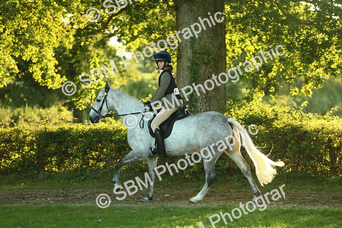 SBM_56477 - S14 - Riding Club Horse