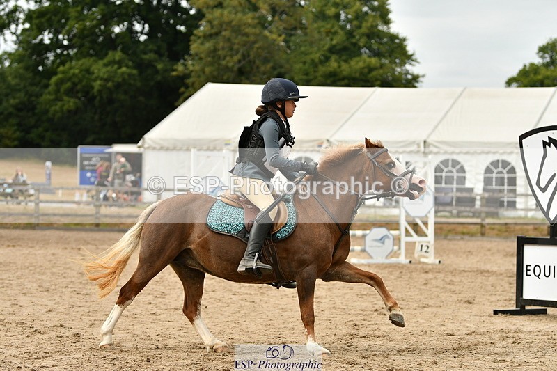 250820A-170006-11200 - 50cm, 16.45 to 18.00