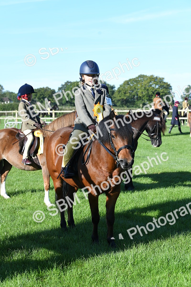 SBM_34127 - S16 - Condition & Turnout - Ridden