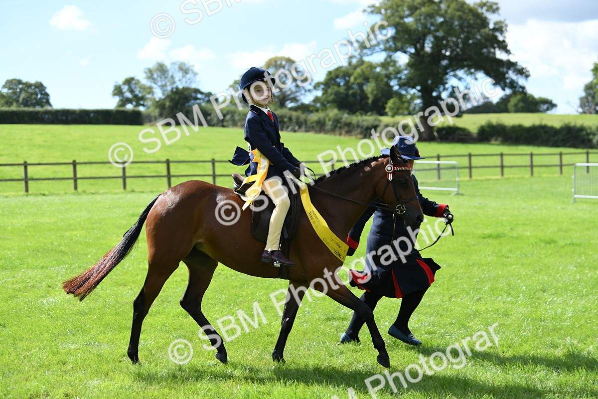 SBM_41276 - S19 - Lead Rein Show & Show Hunter Pony