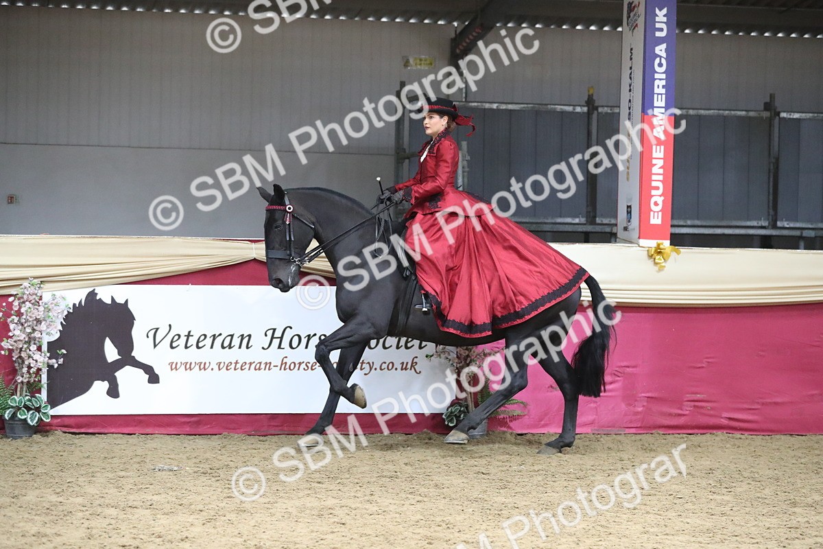 SBM_12153 - Class 107 Ridden Costume- Astride Adult (20+)