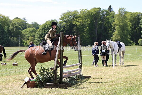 IMG_3620 - Working Hunter