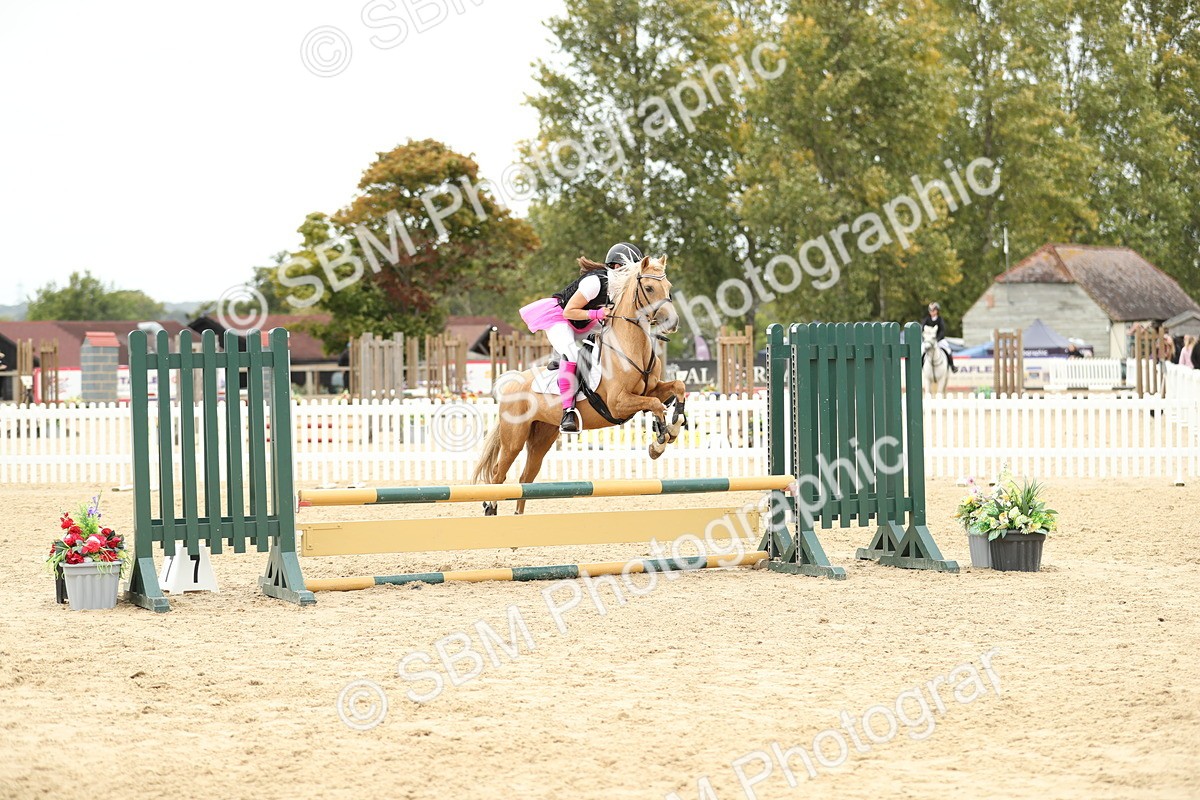 SBM_65782 - J48 - Pairs Jumping Open 70cm & 85cm
