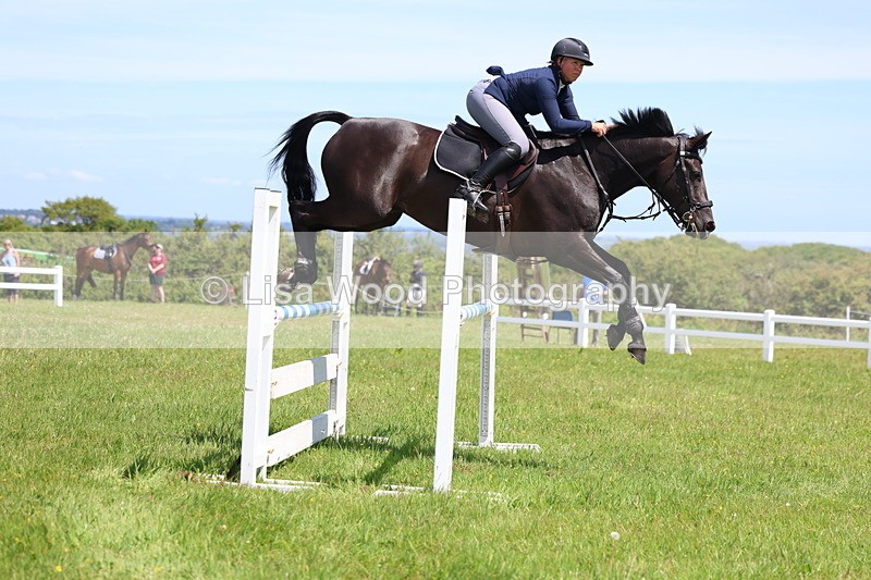 3E7A1206 - Class 12: Senior Foxhunter/1.20 open