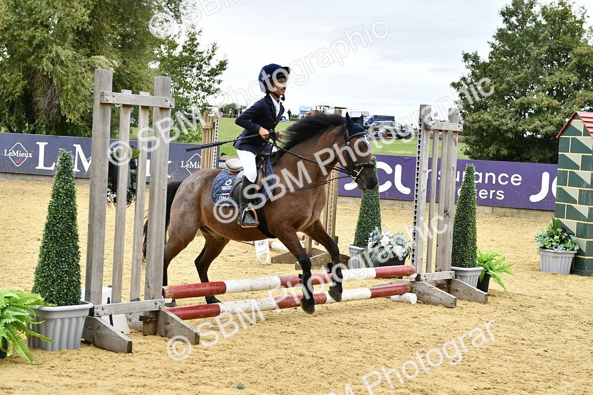SBM_66161 - J2a mini Tour Junior Pony 30cm Championship