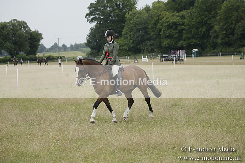 B230619-0938 - Bourne Valley Riding Club Summer Show 23/06/19