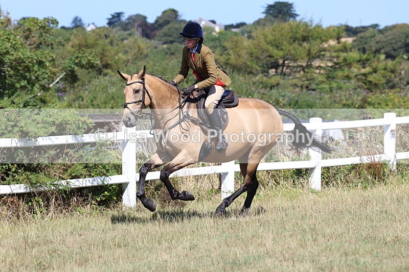 3E7A6419 - Working Hunter Championship