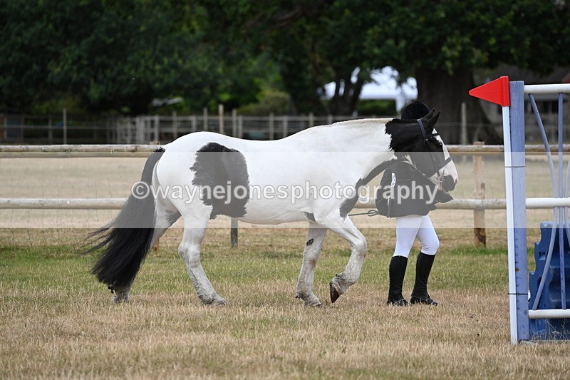 WJ6_4166 - Class 10 Coloured In-hand