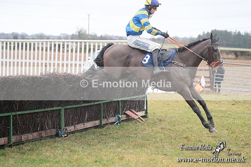PtP 260125 350 - Cocklebarrow Point-to-Point racing with the Heythrop Hunt 26/01/25