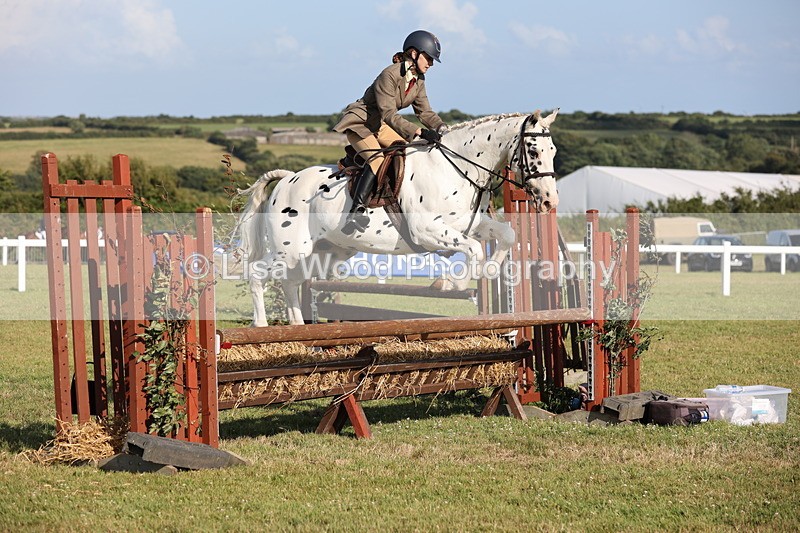 JPP_3171 - Class 21: Working Hunter 80cm