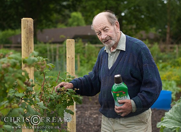  - Allotment Faces