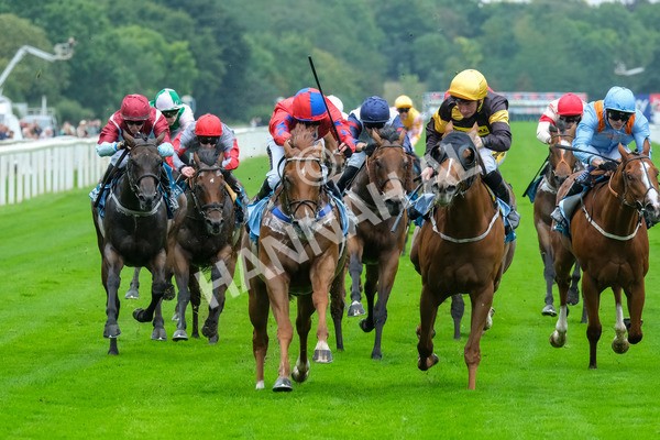 080925-Race 2-Alzahir-7864 - Race 2 3.00pm Sky Bet Super Sub Sprint Handicap